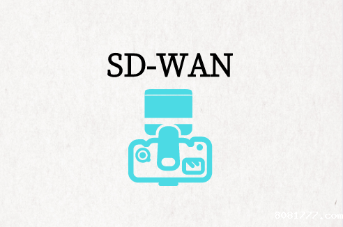 SD-WAN体系结构和组件