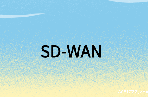 SD-WAN云应用程序
