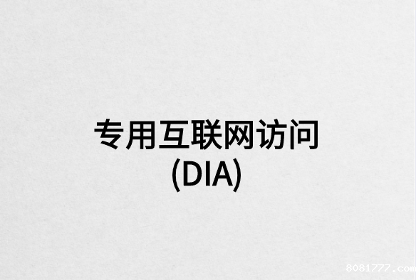 专用互联网访问(DIA)