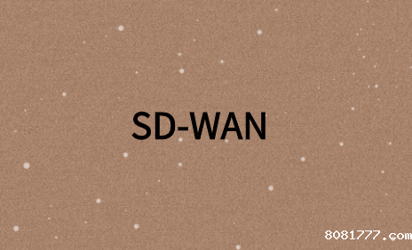 SD-WAN如何进行故障排除?