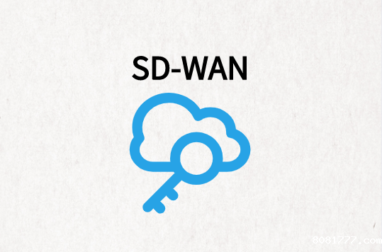 企业为什么要投资SD-WAN?