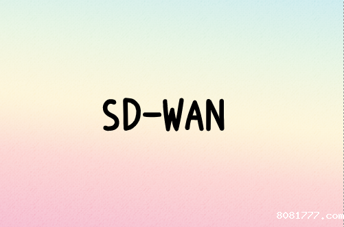 关于SD-WAN的替代方案
