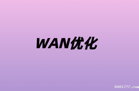 为什么我们需要优化WAN?