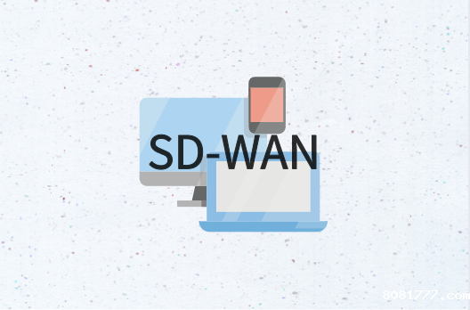 华为SD-WAN