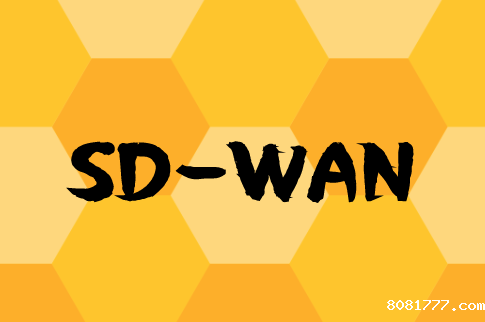 云杰SD-WAN组网必威体育app官方下载精装版