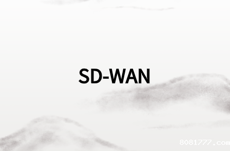 SD-WAN市场