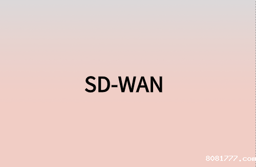 对企业而言，SD-WAN意味着什么?