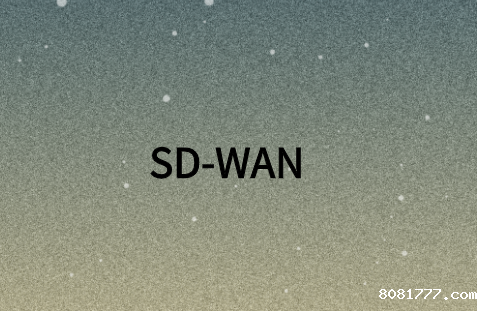 SD-WAN:全球敏捷企业的下一代WAN