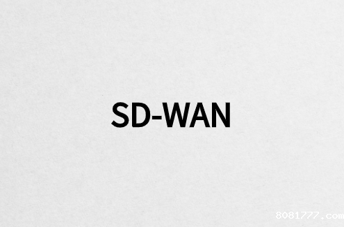 SD-WAN如何实现企业组网?