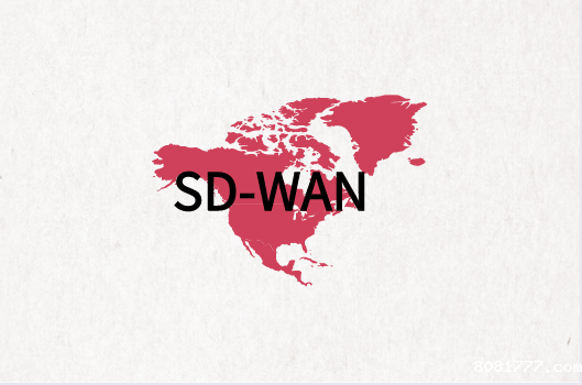 SD-WAN组网