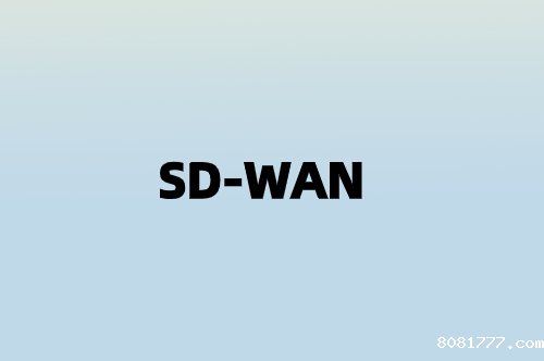 SD-WAN在对等问题中实现什么?