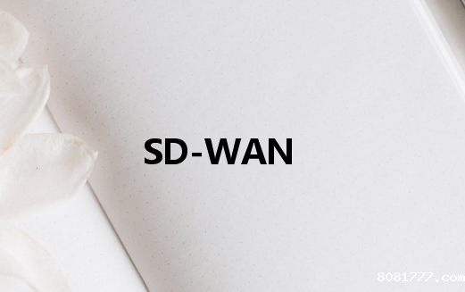 专用网络SD-WAN