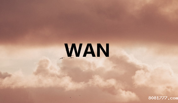 广域网(WAN)如何工作?