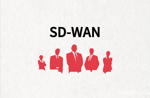 SD-WAN业务需求