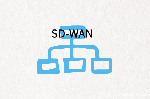国内企业SD-WAN组网