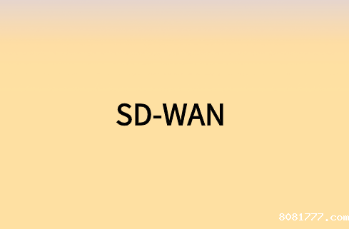 通过连接SD-WAN实现远程网络加速