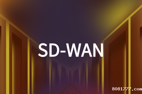 云杰SD-WAN必威体育app官方下载精装版：实现跨国企业网络组网互联