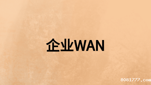 如何使企业WAN保持连接、安全和最佳性能?