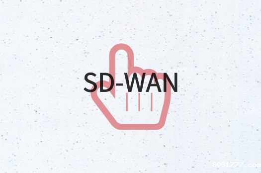 SD-WAN网络运维