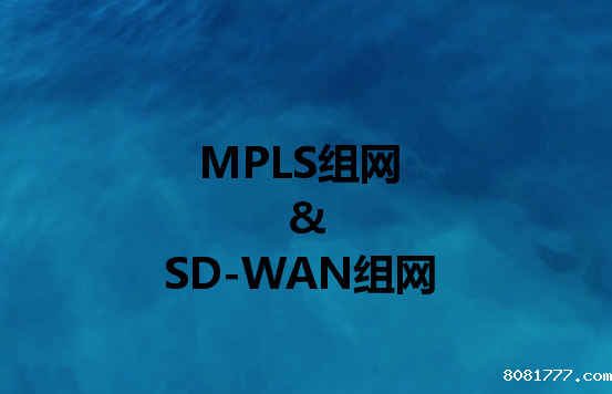 企业组网必威体育app官方下载精装版：组网或SD-WAN组网