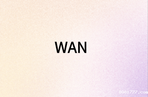 广域网(WAN)接口类型