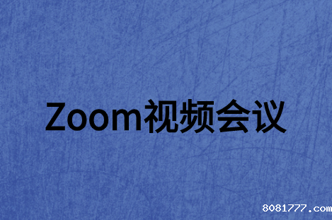 ZOOM视频会议系统软件如何走进大众网络世界?