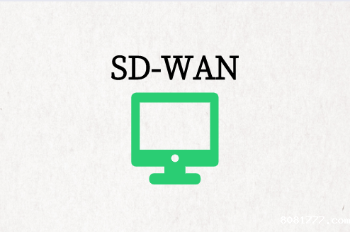 SD-WAN端到端可见性