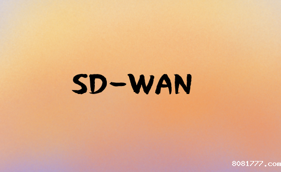 SD-WAN必威体育app官方下载精装版的多项技术和业务优势