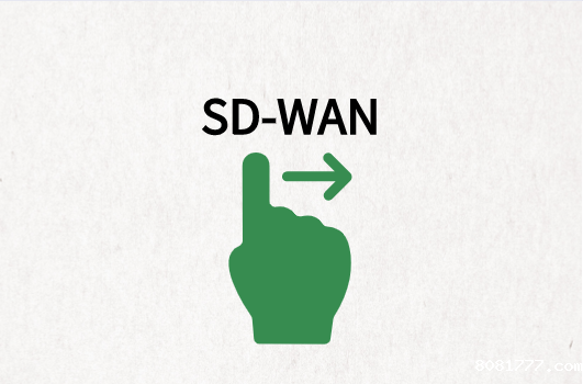 SD-WAN必威体育app官方下载精装版