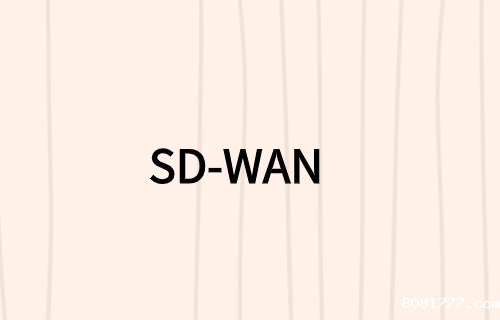在SD-WAN必威体育app官方下载精装版中寻找什么?