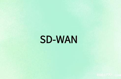 SD-WAN 与远程用户