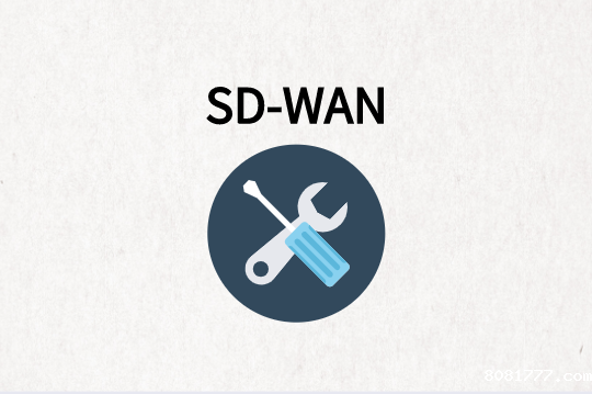 为什么说SD-WAN是企业分支组网的未来?