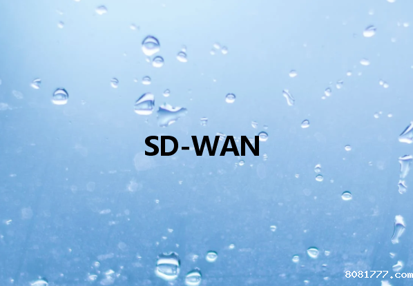 SD-WAN解决了哪些网络问题?