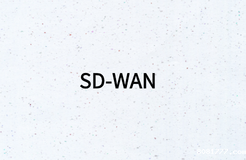 什么类型的企业有必要部署SD-WAN?