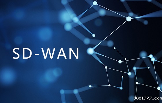 SD-WAN技术所具备的优势大大为IT团队减少不必要的麻烦