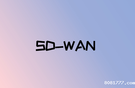 SD-WAN是确保WAN弹性的强大工具