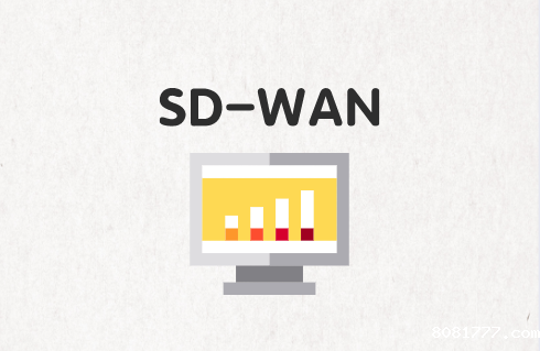 如何选择正确的SD-WAN必威体育app官方下载精装版?
