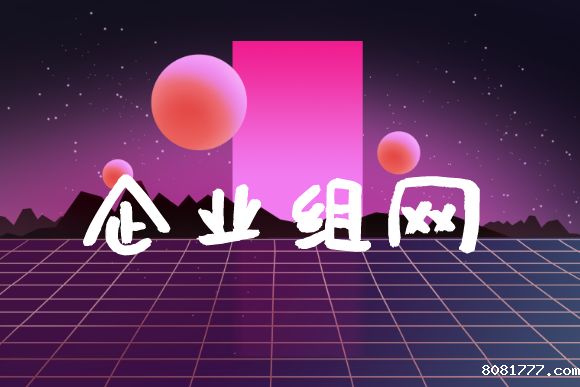 企业如何选择适合的内部组网方式?