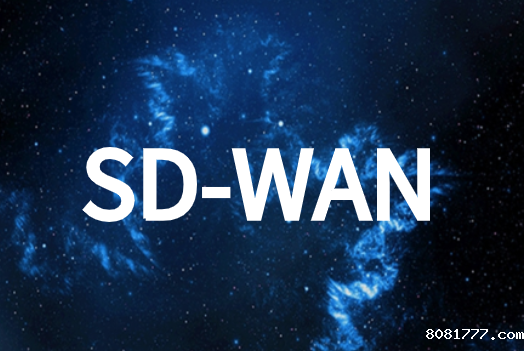 SD-WAN体系结构类型