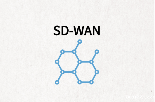 企业分支SD-WAN组网必威体育app官方下载精装版