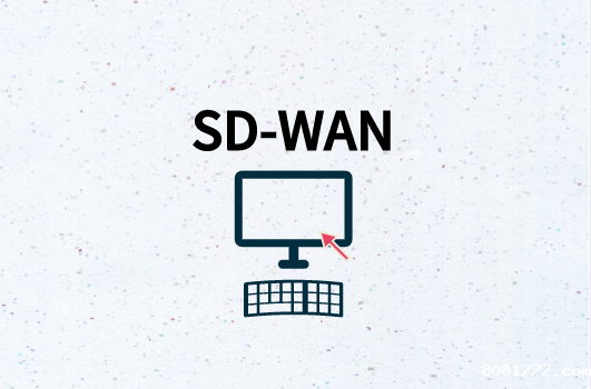 SD-WAN演进