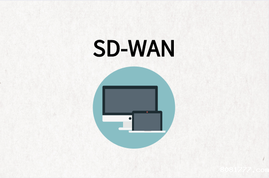 SD-WAN组网应用场景