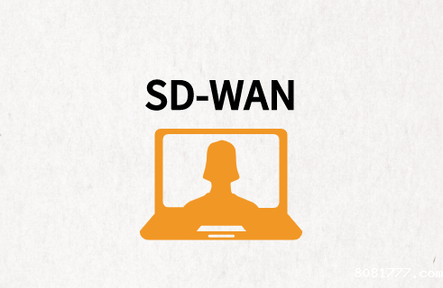 SD-WAN与异地组网