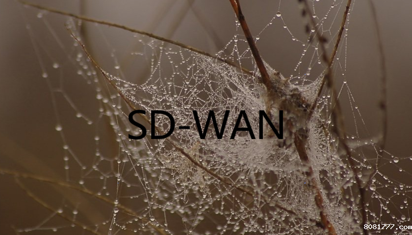 SD-WAN 是如何优化广域网的?