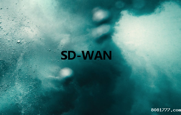 SD-WAN：使通过公共网络传输的数据像专用网络一样安全