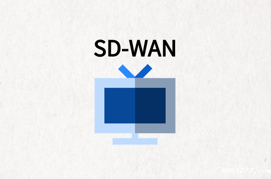 SD-WAN全球组网