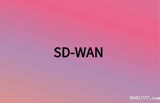 除连接性外，SD-WAN还提供很多网络优势