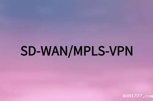 衡量SD-WAN与-