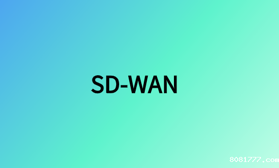 SD-WAN：企业级网络组网必威体育app官方下载精装版